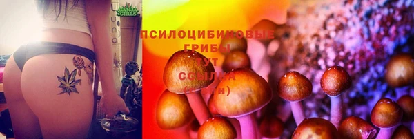 ECSTASY Алзамай