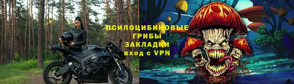ECSTASY Алзамай