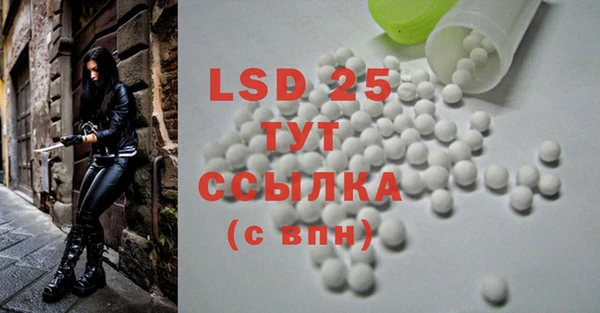 ECSTASY Алзамай