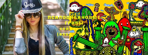 тгк Алексеевка