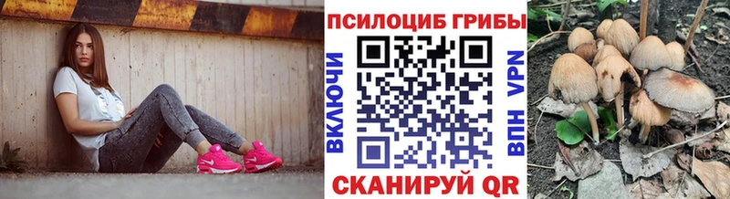 Галлюциногенные грибы MAGIC MUSHROOMS маркетплейс как зайти Самара